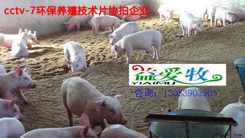 ʹ 氮ʹ