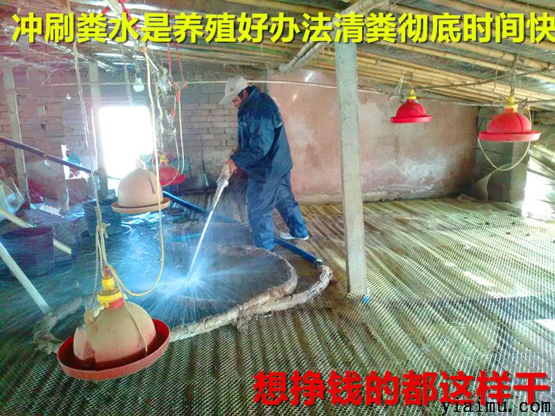 环保养殖冲刷棚舍 环保养殖冲刷棚舍