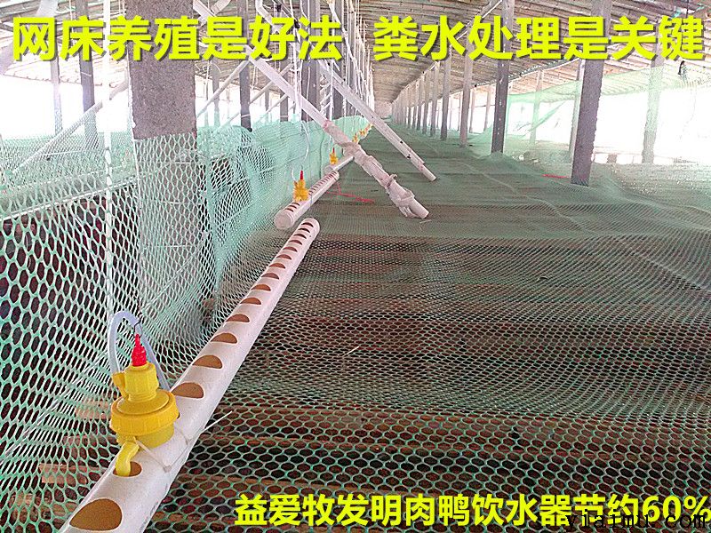益爱牧网床养殖节水器 益爱牧网床养殖节水器